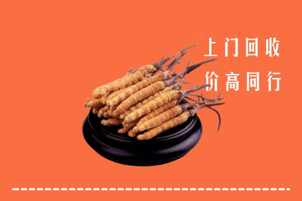 附近收购：抚顺县冬虫夏草回收多少钱每克