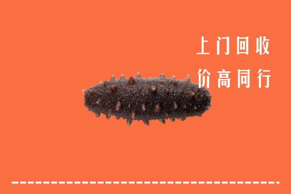 抚顺县回收海参