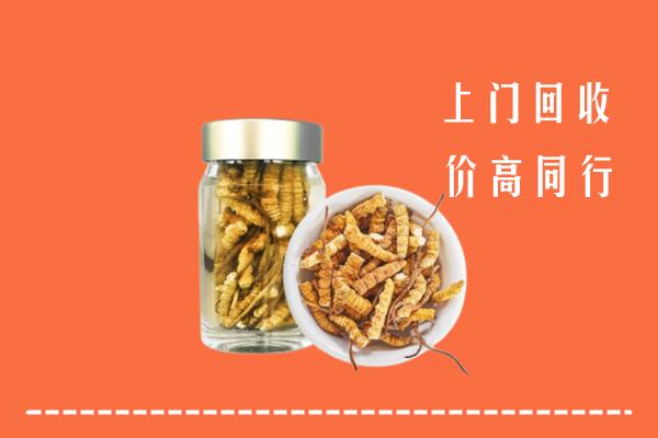 抚顺县回收冬虫夏草