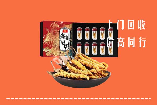 抚顺县回收虫草